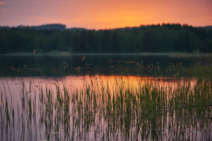 Summer in Finland 